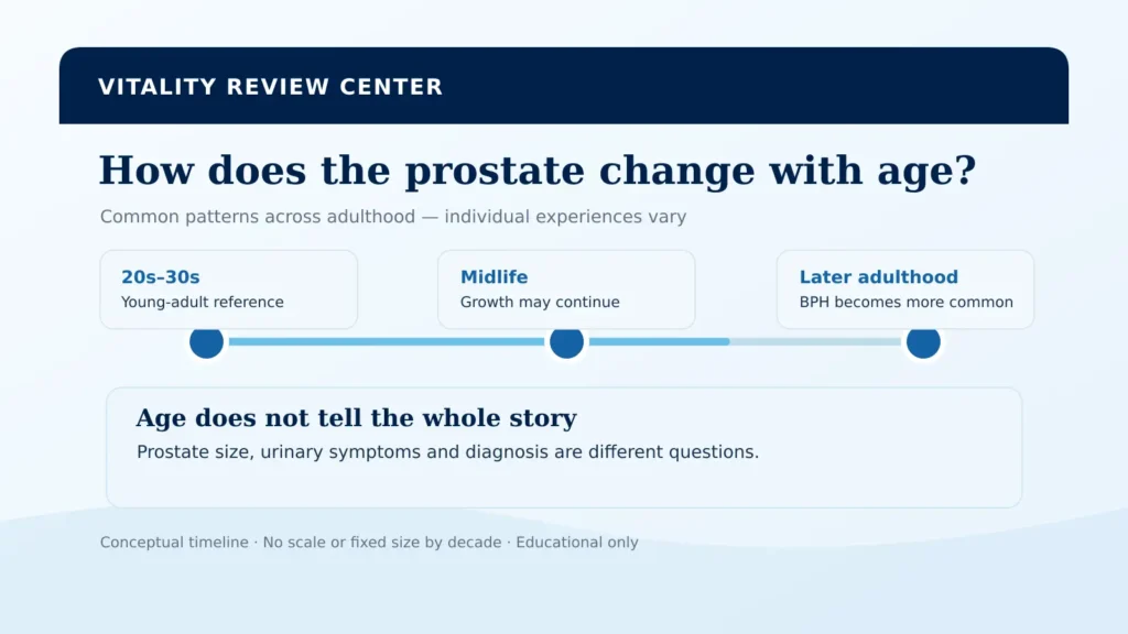 How Does the Prostate Change With Age?