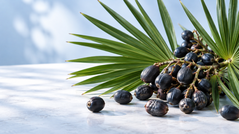 Dark saw palmetto berries beside green fan-shaped palm leaves on a light background